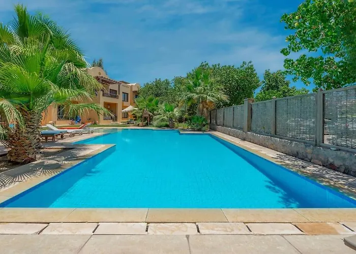 Beautiful With Terrace To The Pool Appartement